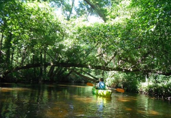 Faire du canoë sur rivière dans les Landes